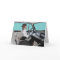 Jack Russell and Cat Driving Classic Car
