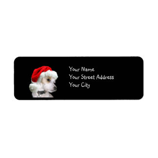 Jack Russell Christmas