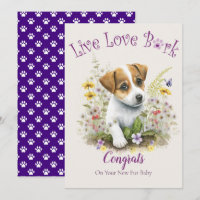 Jack Russell Dog Adoption, Gotcha Day