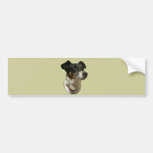 Jack Russell Dog bumper sticker