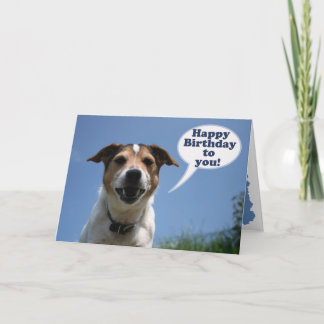 Jack Russell dog Happy Birthday card
