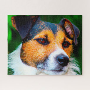 Jack Russell Dog. Jigsaw Puzzle