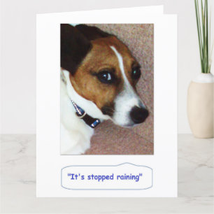 Jack Russell Greetings Card - Montys Bored