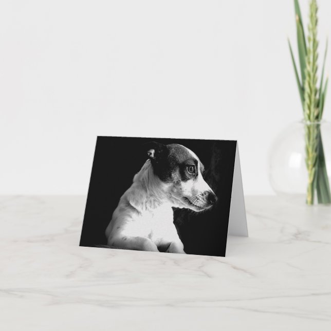 Jack Russell in thought Card (Front)