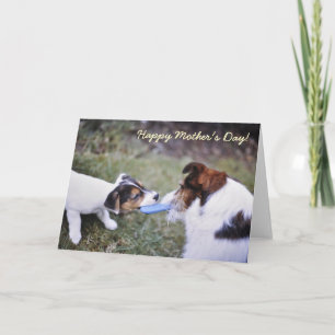 Jack Russell Mother's day card