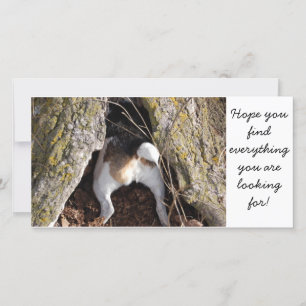 Jack Russell Note Cards