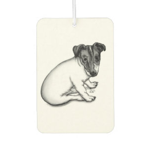 Jack Russell puppy 10 weeks old Air Freshener