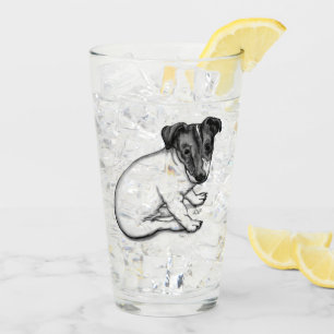 Jack Russell Puppy 10 weeks old Glass