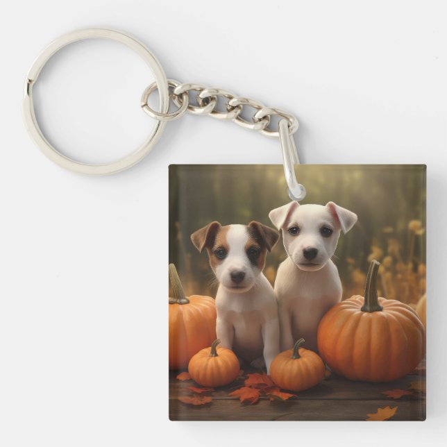 Jack Russell Puppy Automne Citrouille de plaisir (Devant)