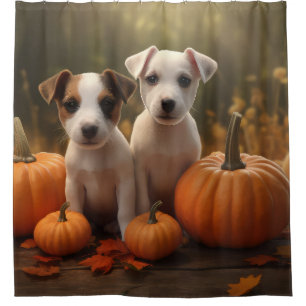 Jack Russell Puppy Autumn Delight Pumpkin 
