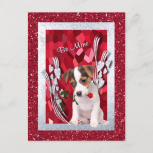 Jack Russell Puppy Be Mine Valentine Carte postale