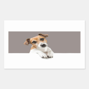 Jack Russell Puppy Dog Cute Adorable Sweet Sticker