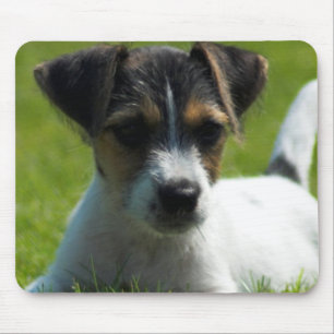 Jack Russell Puppy Mouse Pad
