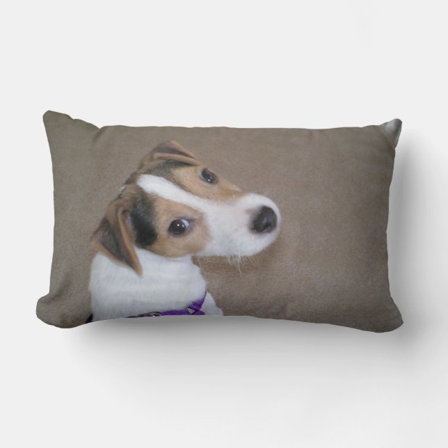 Jack Russell Puppy pillow (Front)