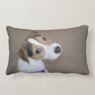 Jack Russell Puppy pillow