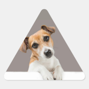 Jack Russell Puppy Sweet Cute Baby Puppy Triangle Sticker