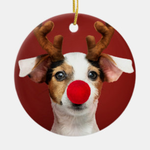 Jack Russell Reindeer Ceramic Ornament