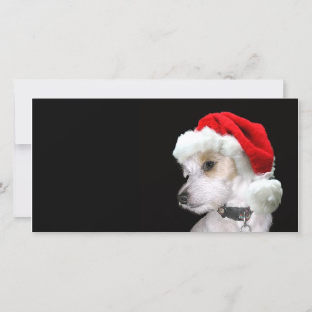 Jack Russell Santa Holiday Card (Front)