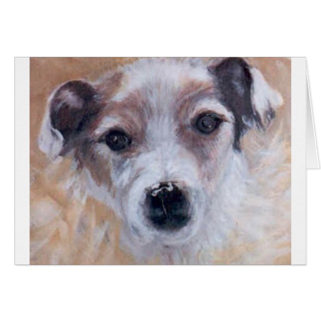 Jack Russell Terrier (Devant horizontal)