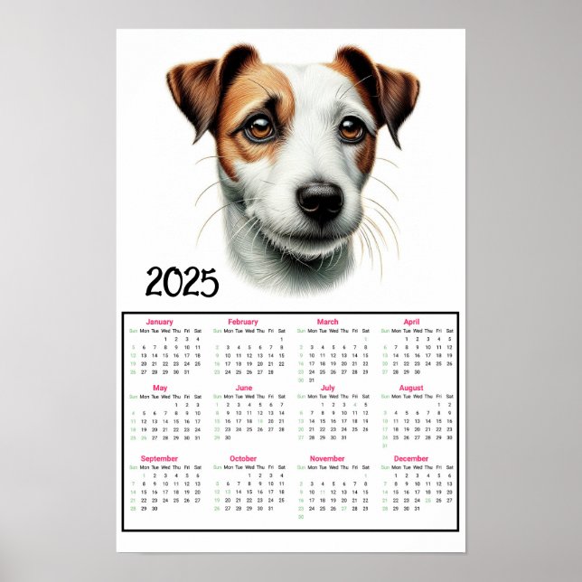 Jack Russell Terrier 2025 Calendar  Poster (Front)