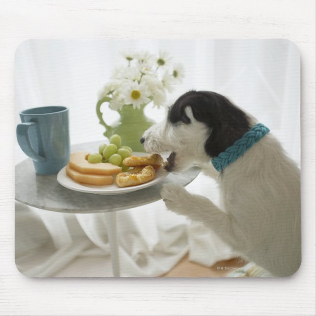 Jack russell terrier. 2 mouse pad (Front)