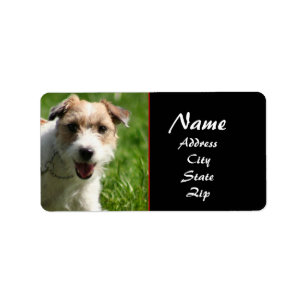 Jack Russell terrier address label