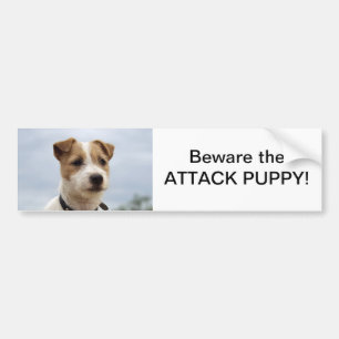 Jack Russell Terrier Bumper Sticker