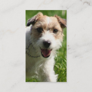 Jack Russell Terrier business cards