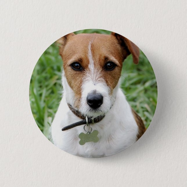 Jack Russell Terrier Button (Front)