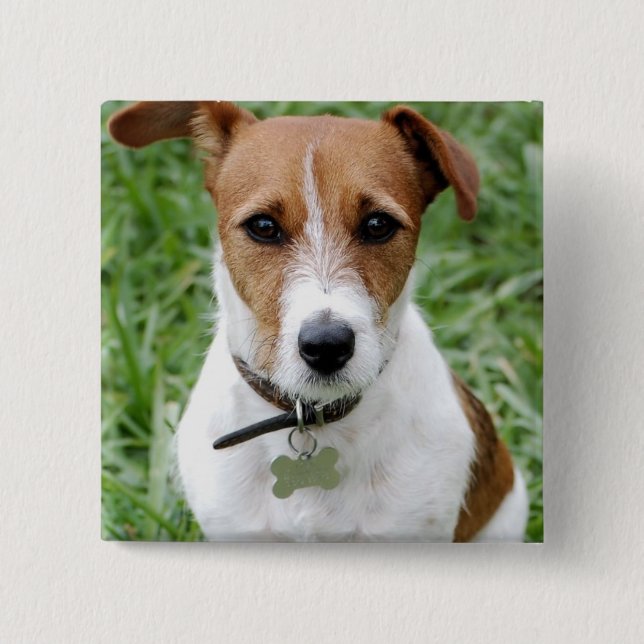 Jack Russell Terrier Button (Front)