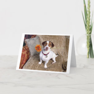 Jack Russell Terrier Carte de remerciements