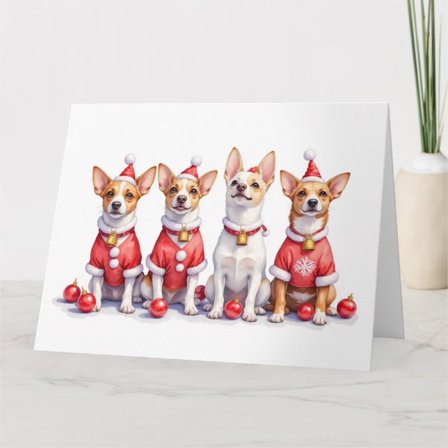 Jack Russell Terrier Christmas Dress Santa Hat Card (Front)