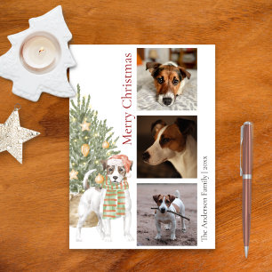 Jack Russell Terrier Christmas Tree Pet Dog Photo Holiday Card