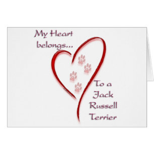 Jack Russell Terrier Coeur Appartient