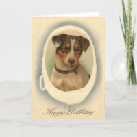 Jack Russell Terrier Collar Birthday