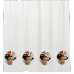 JACK RUSSELL TERRIER DOG