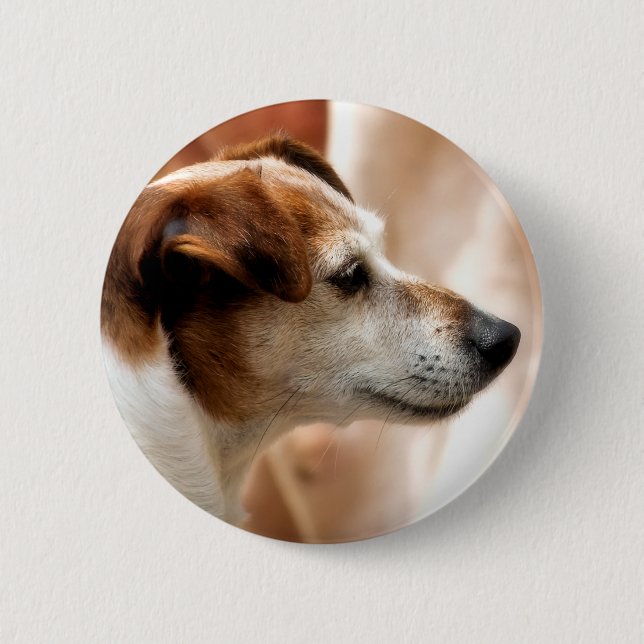 JACK RUSSELL TERRIER DOG 2 INCH ROUND BUTTON (Front)
