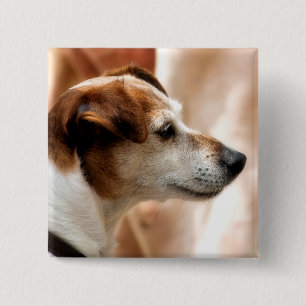 JACK RUSSELL TERRIER DOG 2 INCH SQUARE BUTTON