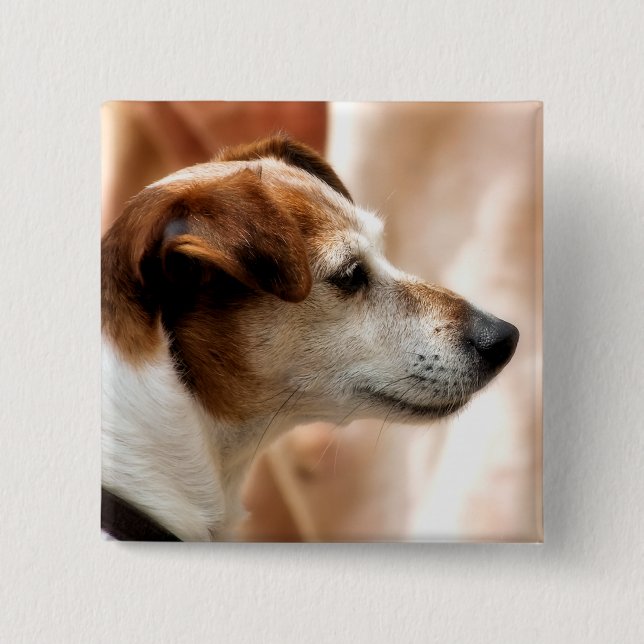 JACK RUSSELL TERRIER DOG 2 INCH SQUARE BUTTON (Front)