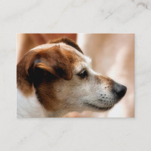 JACK RUSSELL TERRIER DOG BUSINESS CARD