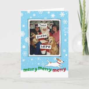 Jack Russell Terrier   Dog Christmas   Your Photo Holiday Card