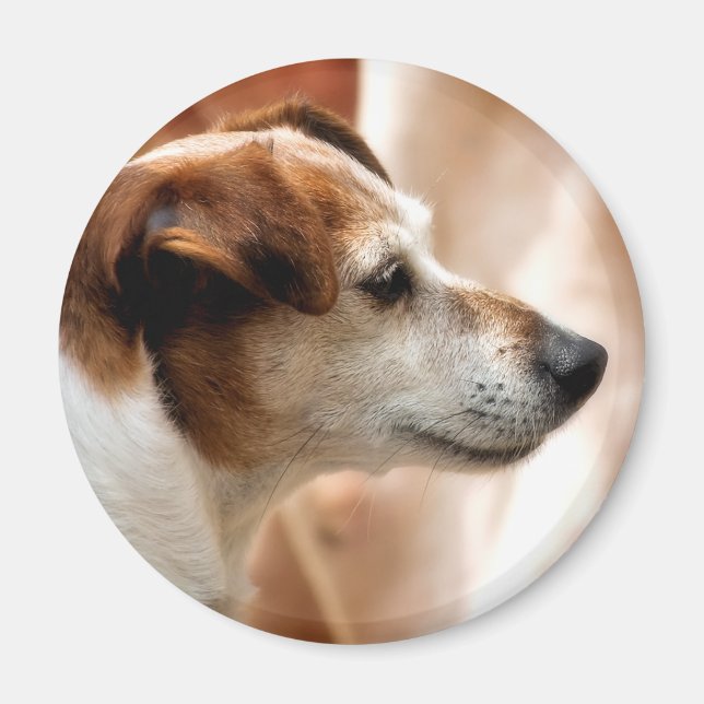 JACK RUSSELL TERRIER DOG MAGNET (Front)