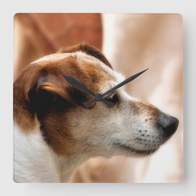 JACK RUSSELL TERRIER DOG SQUARE WALL CLOCK (Front)