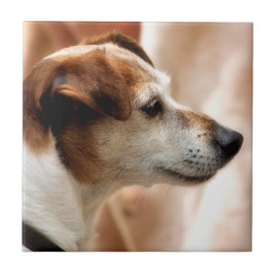 JACK RUSSELL TERRIER DOG TILE