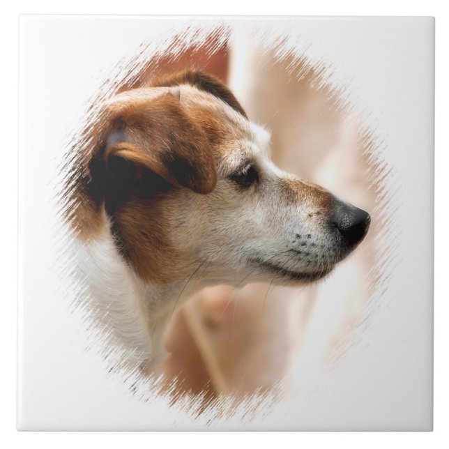 JACK RUSSELL TERRIER DOG TILE (Front)
