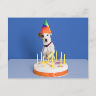 Jack Russell Happy Birthday Invitations Stationery Zazzle Ca