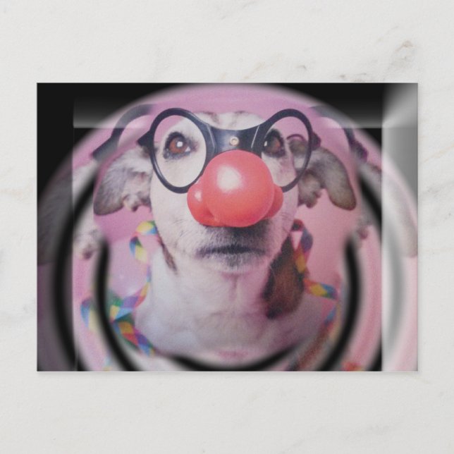 Jack Russell Terrier Happy Birthday Crazy Clown Postcard (Front)