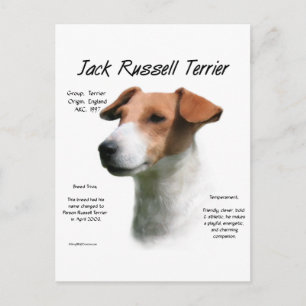 Jack Russell Terrier History Postcard