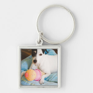 Jack russell terrier lying down keychain