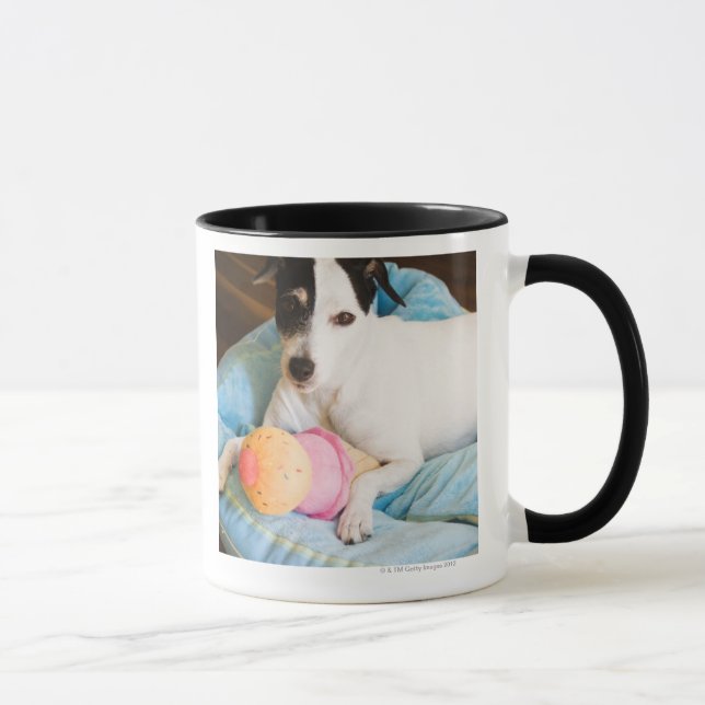 Jack russell terrier lying down mug (Right)